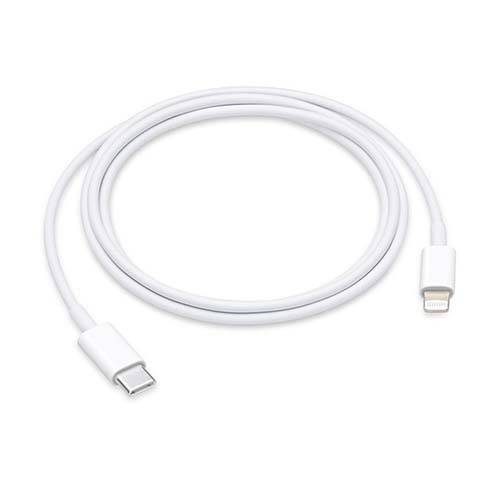 Apple Câble USB C - Lightning 1M