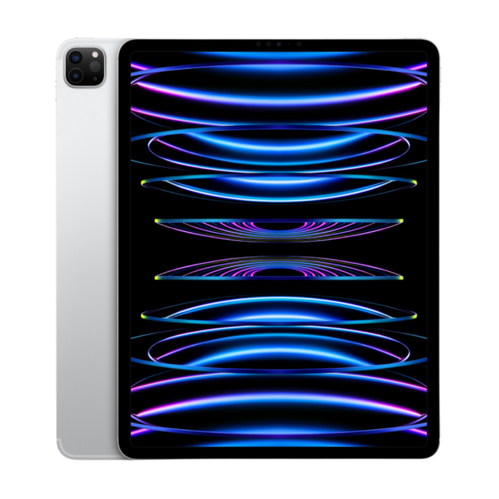 iPad Pro 12.9 (6th Gen) Wi-Fi + Cellular