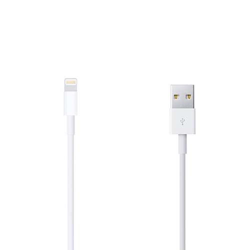 Apple Câble USB - Lightning 1M